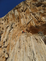 SNV80483.JPG